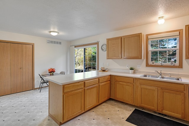 kitchen with kitchen peninsula, a textured ceiling, and sink