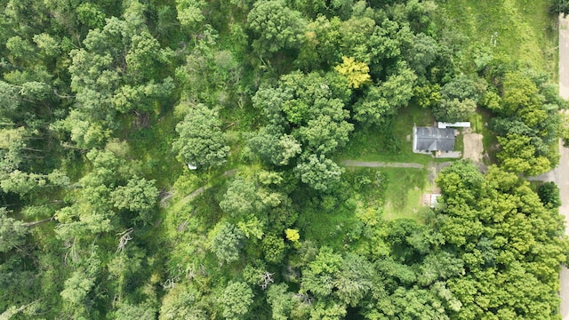133 E Nettleman Rd, Coldwater, MI 49036 - photo 15