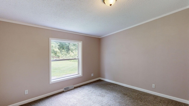 empty room with crown molding, carpet floors, and a textured ceiling