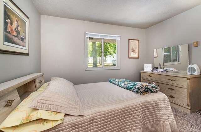 6610 E Arnold Lake Rd, Harrison, MI 48625 - view of carpeted bedroom