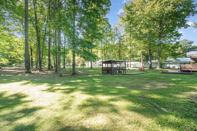 6610 E Arnold Lake Rd, Harrison, MI 48625 - view of green lawn