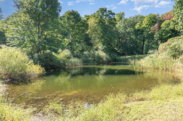 6610 E Arnold Lake Rd, Harrison, MI 48625 - water view with a forest