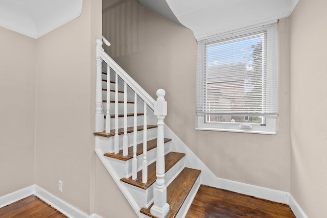 stairway with hardwood / wood-style flooring and a healthy amount of sunlight