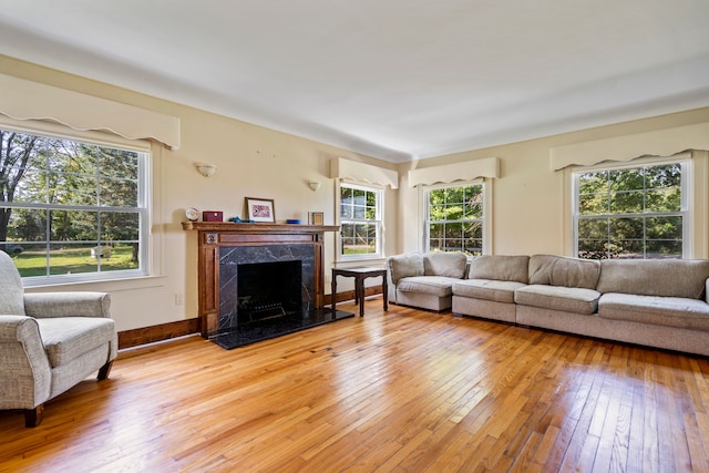 living room featuring plenty of natural light, a high end fireplace, and light wood-type flooring