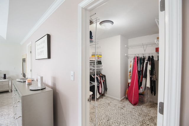 interior space featuring crown molding