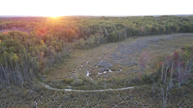 view of local wilderness