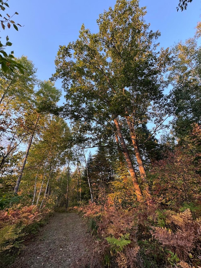 view of landscape