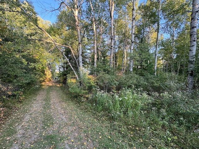 view of landscape