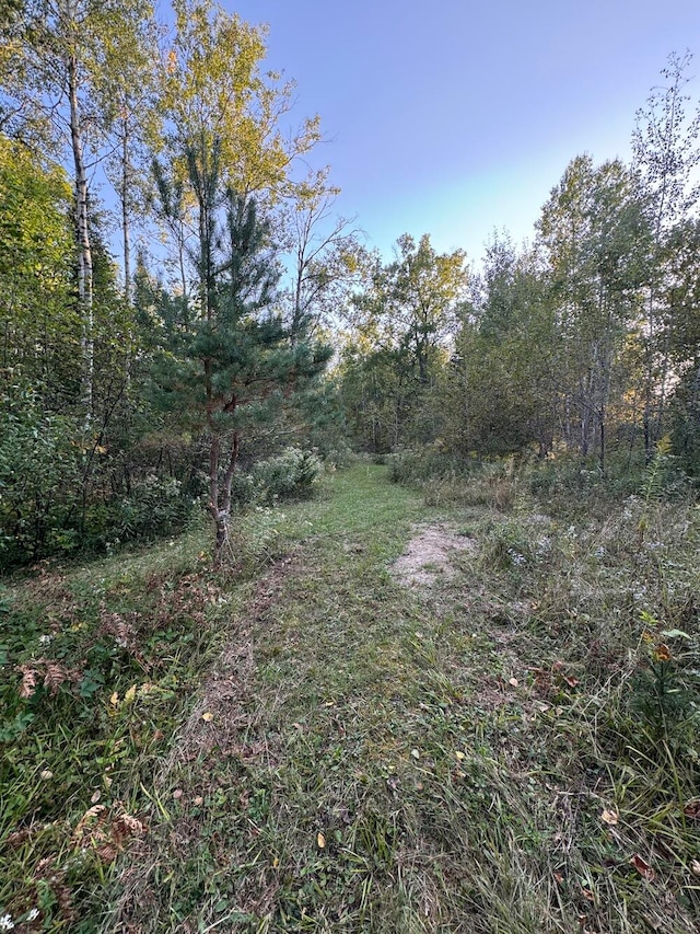 view of local wilderness