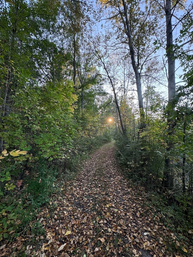 view of nature