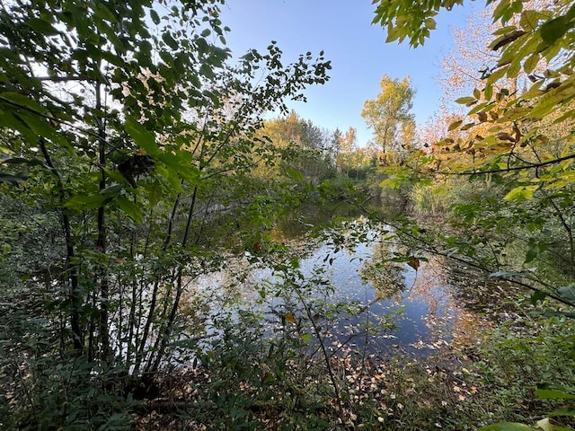 view of local wilderness with a water view