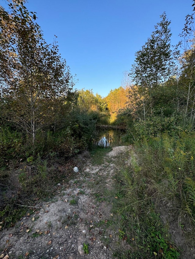 view of local wilderness featuring a water view