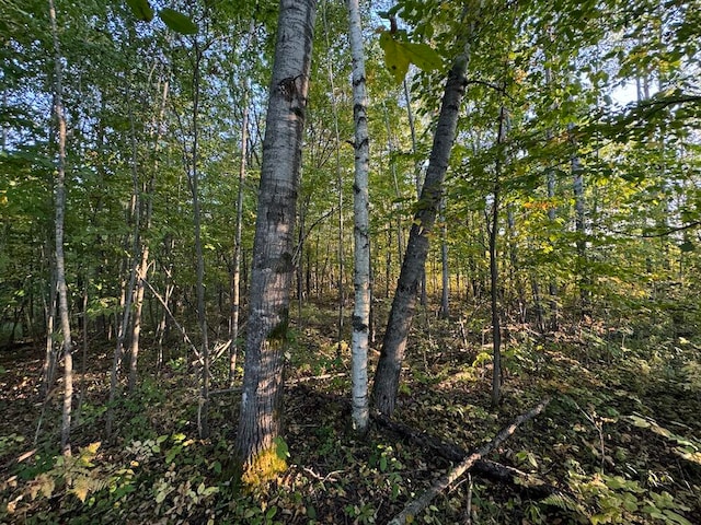 view of landscape