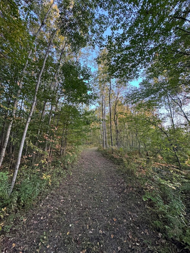 view of landscape