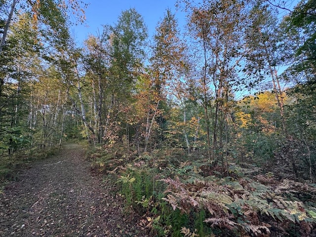 view of landscape