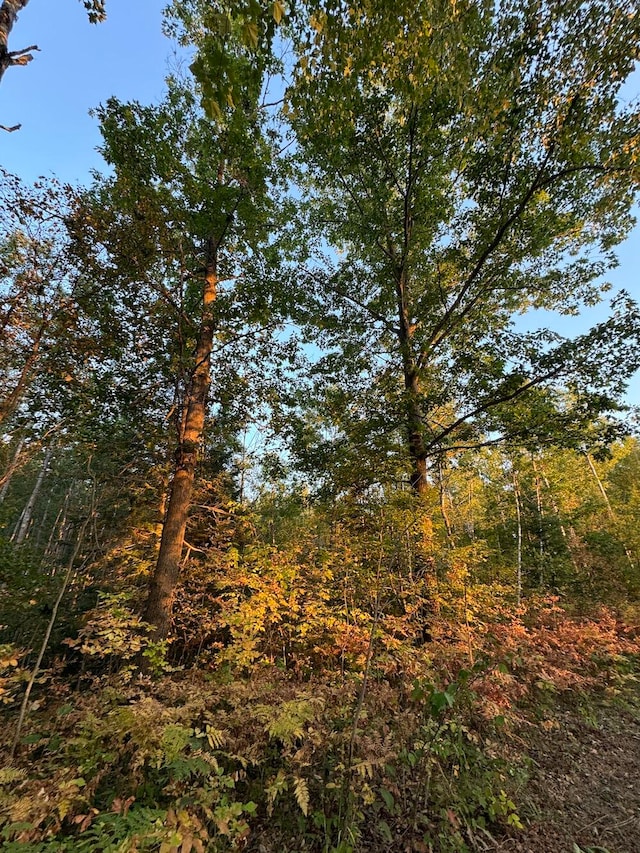 view of local wilderness