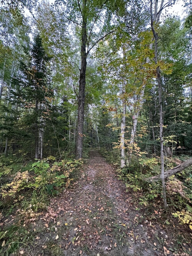 view of local wilderness