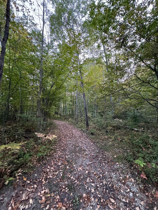 view of landscape