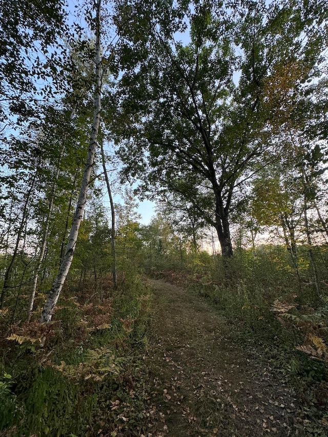 view of local wilderness