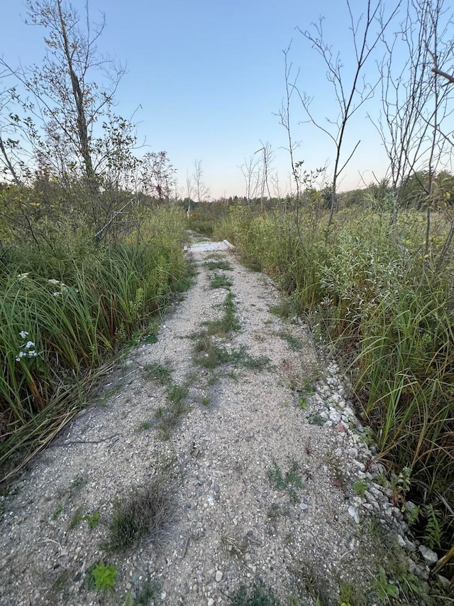 view of road with a rural view