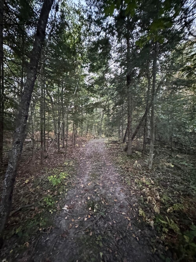 view of local wilderness