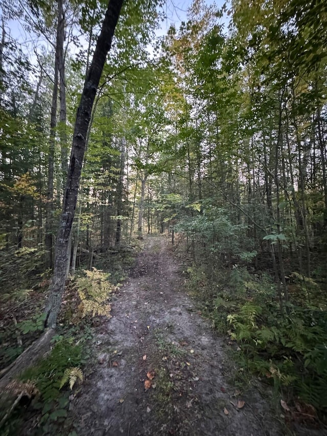 view of local wilderness