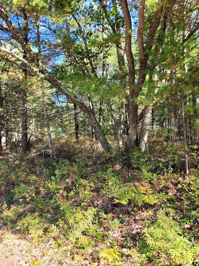 N/A Wintergreen, East Tawas MI, 48730 land for sale