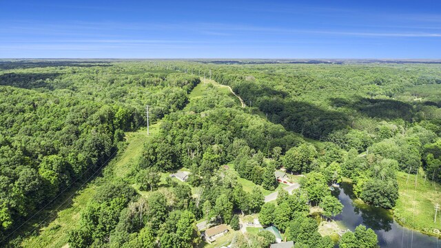 23920 Beers Rd, Mesick, MI 49668 - bird's eye view of a forest and a nearby body of water