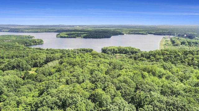 23920 Beers Rd, Mesick, MI 49668 - aerial view of a large body of water and a forest