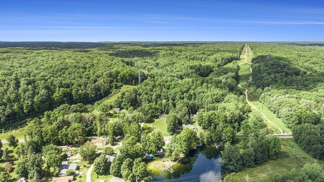 23920 Beers Rd, Mesick, MI 49668 - aerial view of a heavily wooded area