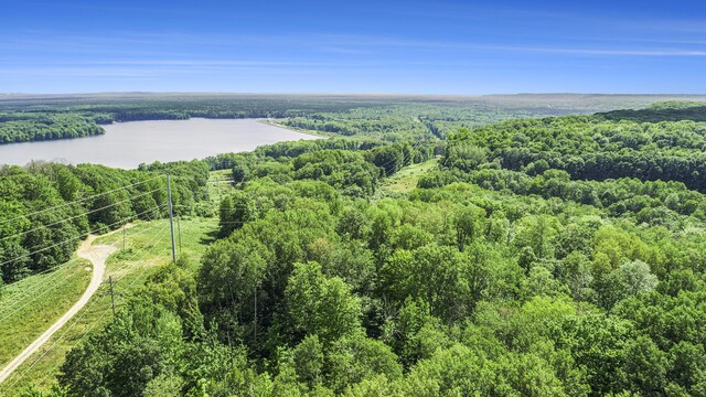23920 Beers Rd, Mesick, MI 49668 - aerial view of a heavily wooded area and a large body of water