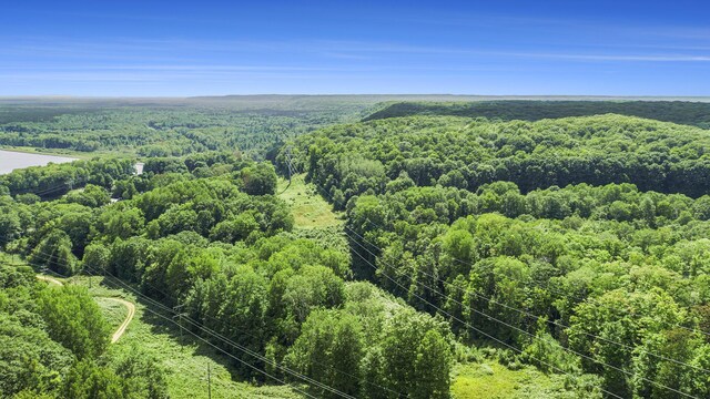 23920 Beers Rd, Mesick, MI 49668 - aerial view of a heavily wooded area