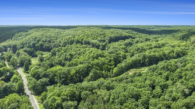 23920 Beers Rd, Mesick, MI 49668 - drone / aerial view of a heavily wooded area