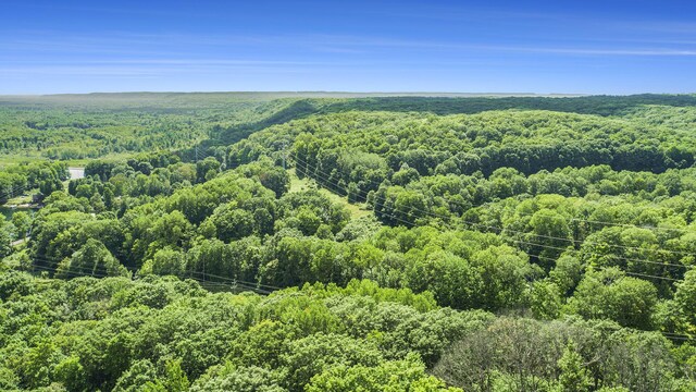 23920 Beers Rd, Mesick, MI 49668 - drone / aerial view of a forest