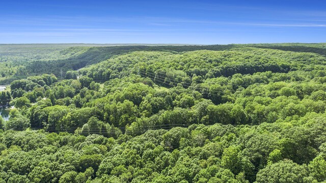 23920 Beers Rd, Mesick, MI 49668 - aerial view of a heavily wooded area