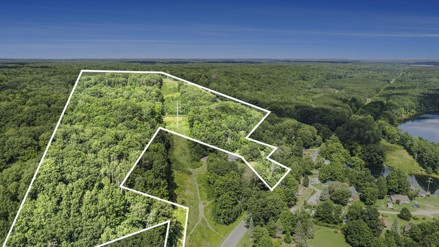 23920 Beers Rd, Mesick, MI 49668 - view of property location featuring a forest, a nearby body of water, and property boundaries highlighted