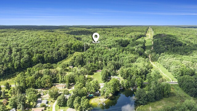 23920 Beers Rd, Mesick, MI 49668 - aerial view of property and surrounding area with a forest