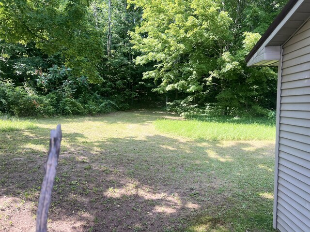 23920 Beers Rd, Mesick, MI 49668 - view of grassy yard