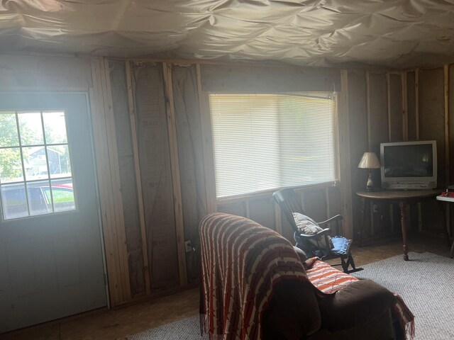 23920 Beers Rd, Mesick, MI 49668 - view of living room