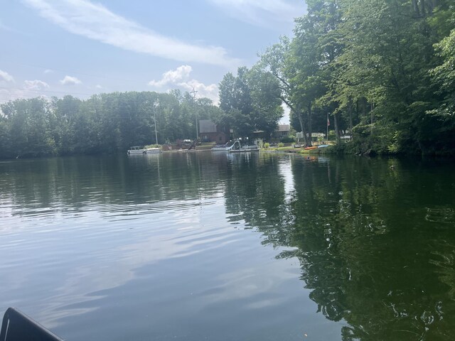 23920 Beers Rd, Mesick, MI 49668 - water view
