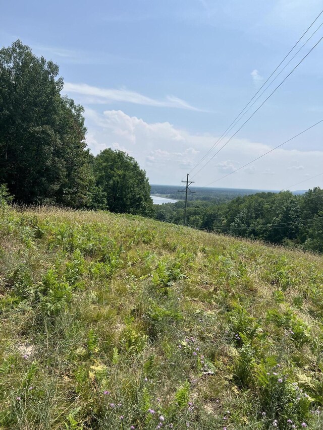 23920 Beers Rd, Mesick, MI 49668 - view of yard