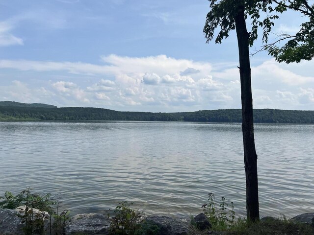 23920 Beers Rd, Mesick, MI 49668 - water view with a forest
