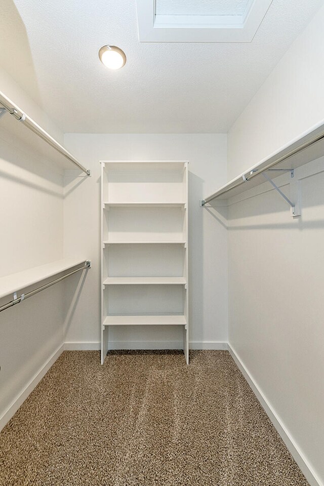 walk in closet with carpet flooring