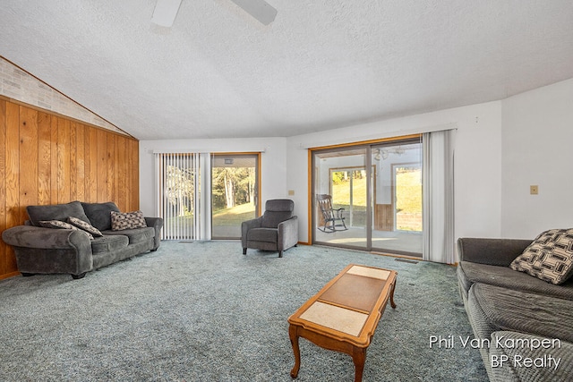 carpeted living room featuring a textured ceiling, a wealth of natural light, and wood walls