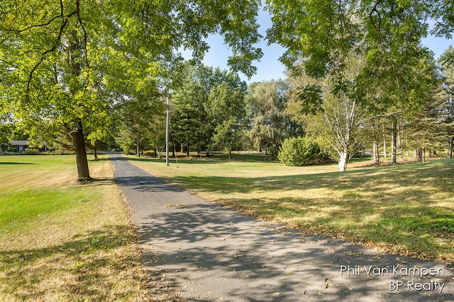 view of community with a yard