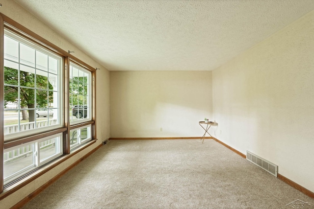 empty room featuring carpet flooring and a textured ceiling