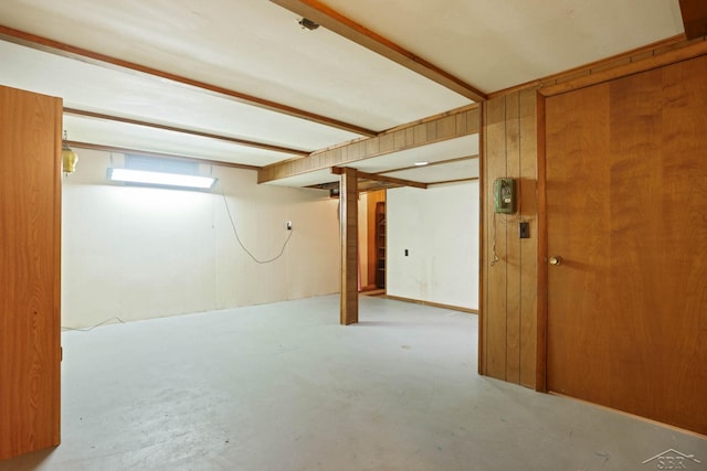 basement with wooden walls