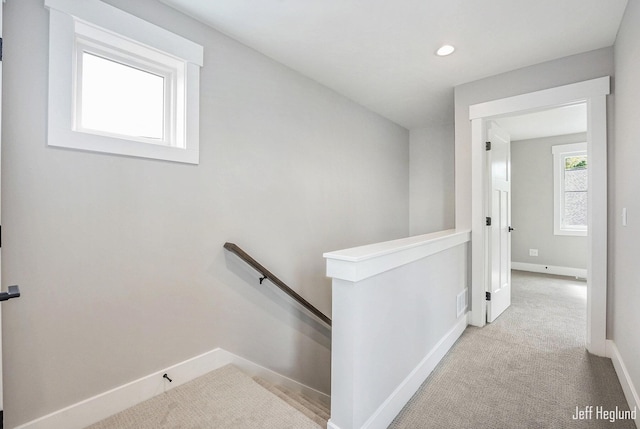 stairway featuring carpet floors