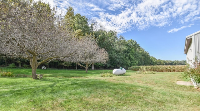 11768 Riker Rd, Litchfield, MI 49252 - view of grassy yard