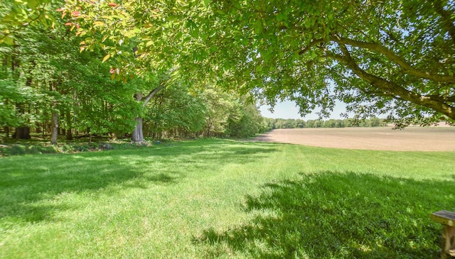 11768 Riker Rd, Litchfield, MI 49252 - view of grassy yard